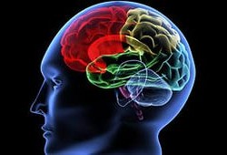 Как влияют наркотики на мозг человека?